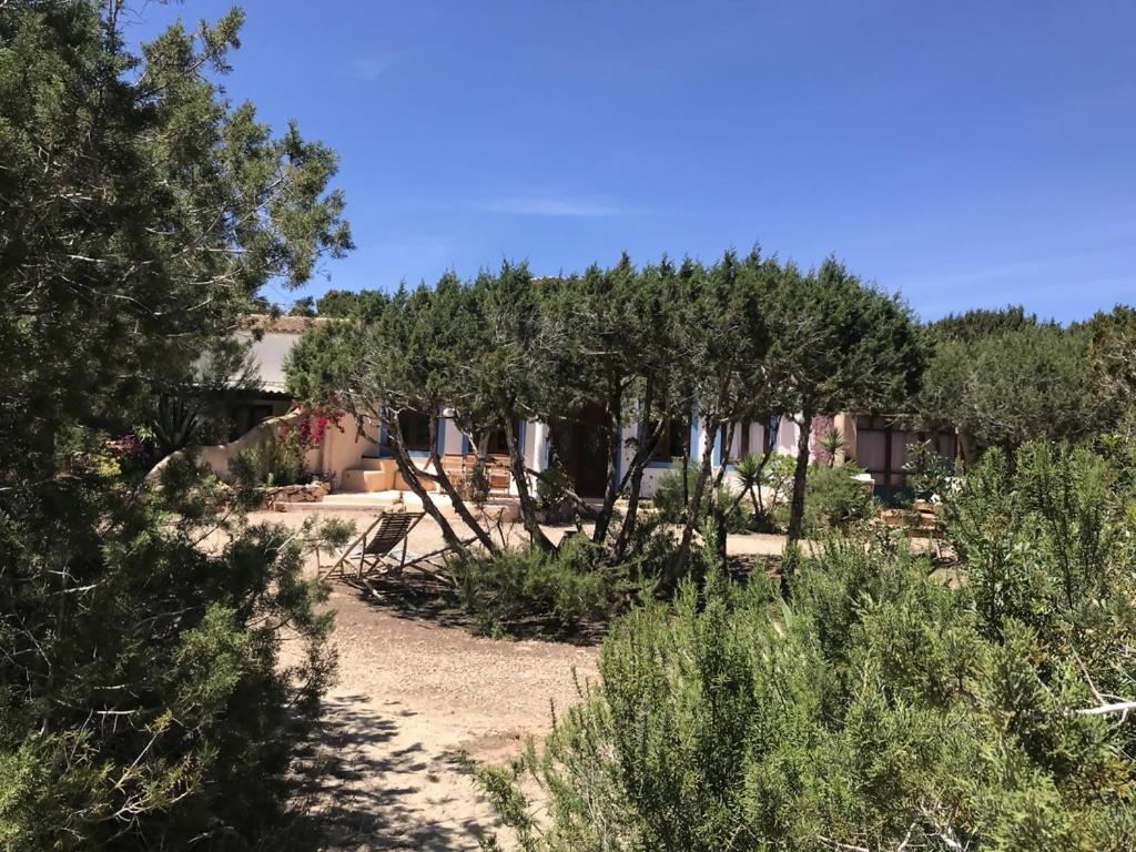 Vila Casa Goro Formentera Playa Migjorn Pokoj fotografie