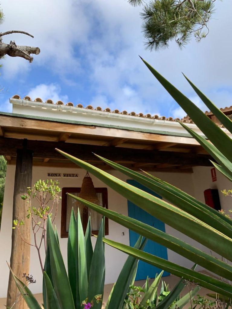 Vila Casa Goro Formentera Playa Migjorn Pokoj fotografie
