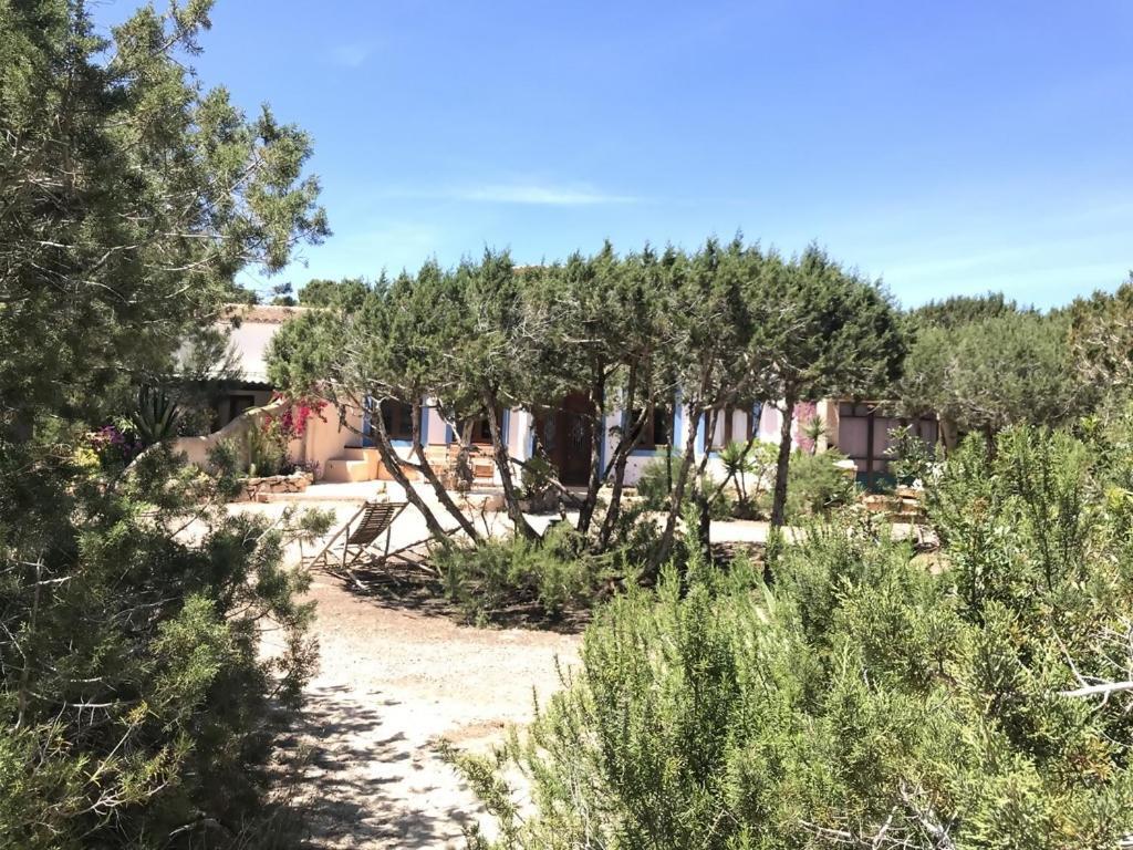 Vila Casa Goro Formentera Playa Migjorn Exteriér fotografie
